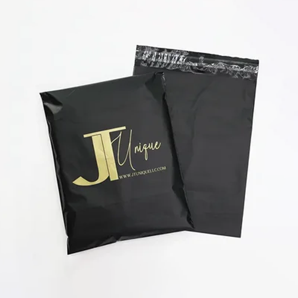 Mylar Envelope-2